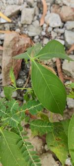 Reach Azam Mahmood directly through Journalist.net, the only and best way to reach verified Journalists. Azam Mahmood is a journalist based in...